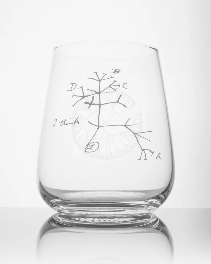 Cognitive Surplus Tree of Life Wine Glass - Evolution | * Wine Glasses | Biology
