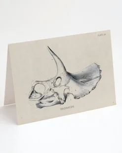 Cognitive Surplus Triceratops Fossil Card - Dinosaur Stationery | * Greeting Cards | Paleontology