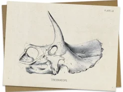 Cognitive Surplus Triceratops Fossil Card - Dinosaur Stationery | * Greeting Cards | Paleontology