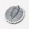Cognitive Surplus Trilobite Fossil Magnet* Magnets | Paleontology
