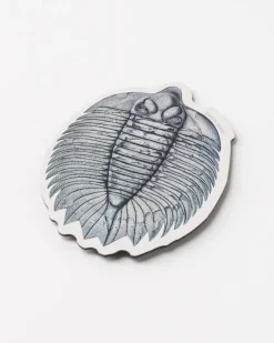 Cognitive Surplus Trilobite Fossil Magnet* Magnets | Paleontology