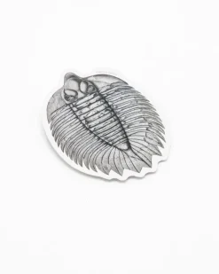 Cognitive Surplus Trilobite Fossil Sticker* Stickers | Paleontology