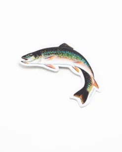 Cognitive Surplus Trout Sticker* Stickers | Marine Biology