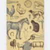 Cognitive Surplus Veterinarian Notebook - Softcover | Vet Journal* The Experiment | Veterinary Science