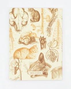Cognitive Surplus Veterinary Science: Cats Softcover Notebook | * The Experiment | Veterinary Science