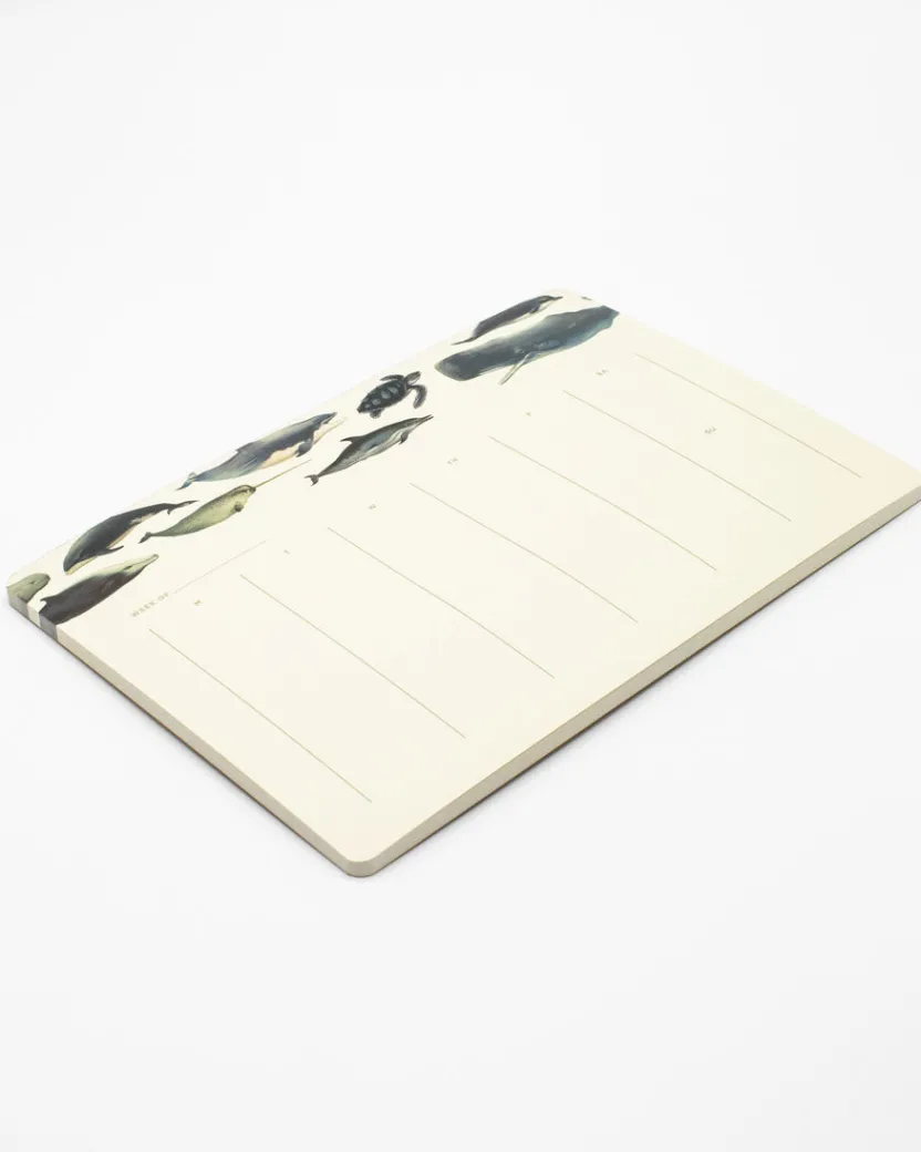 Cognitive Surplus Whale Notepads - Ocean Market Pad | * Notepads | Ornithology