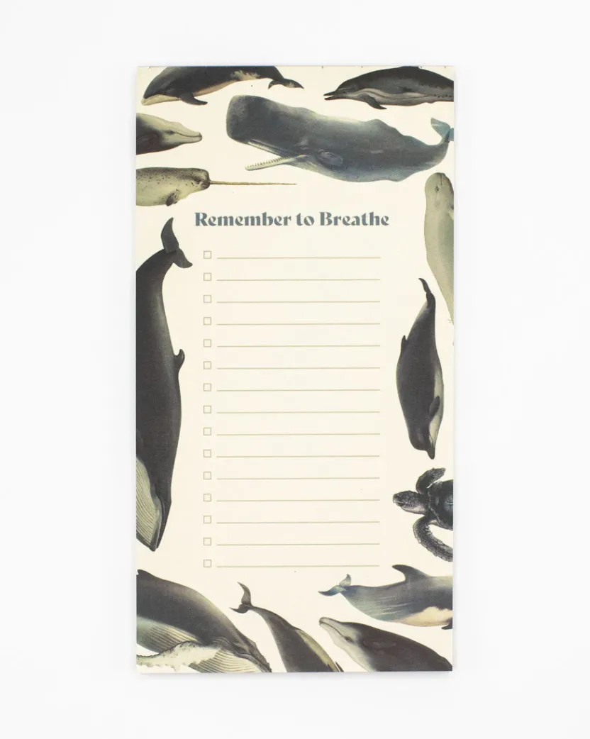 Cognitive Surplus Whale Notepads - Ocean Market Pad | * Notepads | Ornithology
