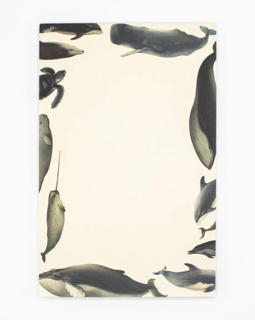 Cognitive Surplus Whale Notepads - Ocean Market Pad | * Notepads | Ornithology