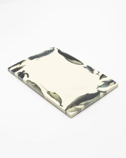 Cognitive Surplus Whale Notepads - Ocean Market Pad | * Notepads | Ornithology