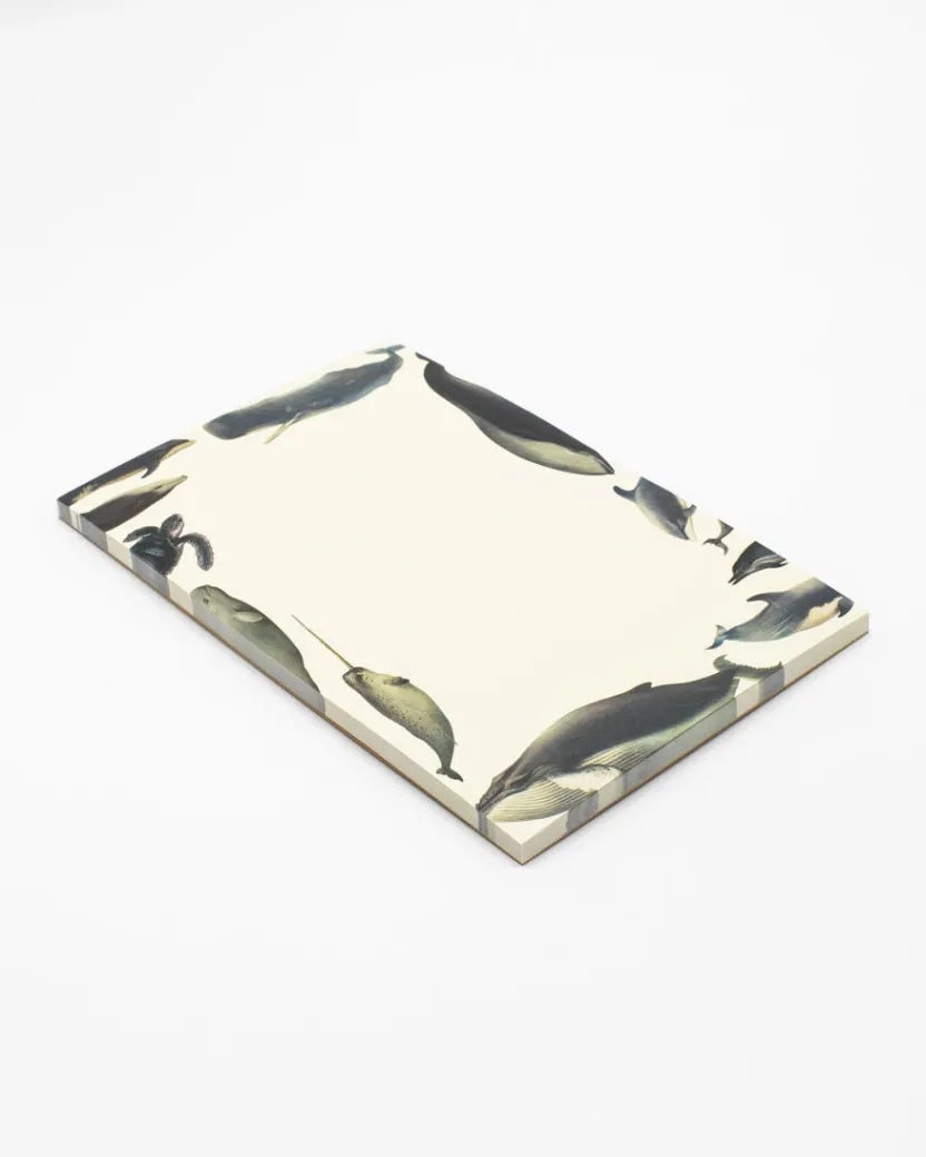 Cognitive Surplus Whale Notepads - Ocean Market Pad | * Notepads | Ornithology
