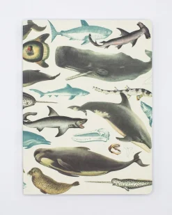 Cognitive Surplus Whales & Seals Softcover Notebook | Recycled Notebook* The Experiment | Marine Biology