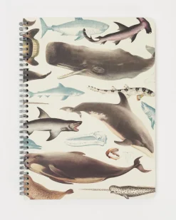 Cognitive Surplus Whales, Sharks & Seals Spiral Notebook | * The Helix | Marine Biology