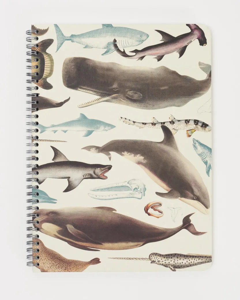 Cognitive Surplus Whales, Sharks & Seals Spiral Notebook | * The Helix | Marine Biology