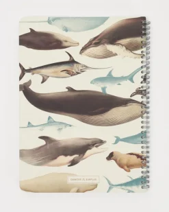 Cognitive Surplus Whales, Sharks & Seals Spiral Notebook | * The Helix | Marine Biology