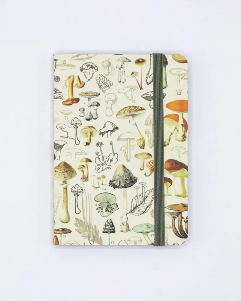Cognitive Surplus Woodland Mushrooms Observation Softcover* The Observation | Kitchen Science