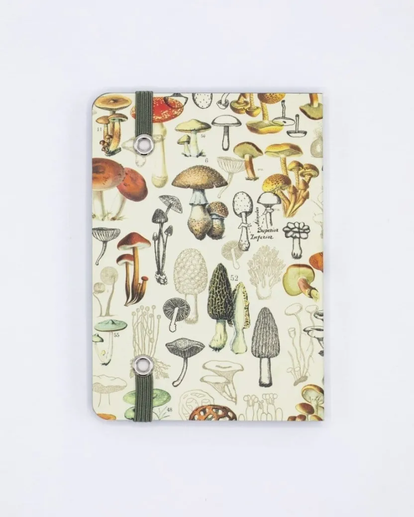 Cognitive Surplus Woodland Mushrooms Observation Softcover* The Observation | Kitchen Science