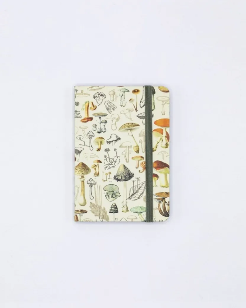 Cognitive Surplus Woodland Mushrooms Observation Softcover* The Observation | Kitchen Science