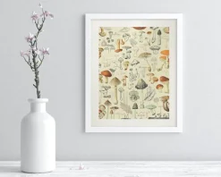 Cognitive Surplus Woodland Mushrooms Scientific Illustration Museum Print* Wall Art | Kitchen Science